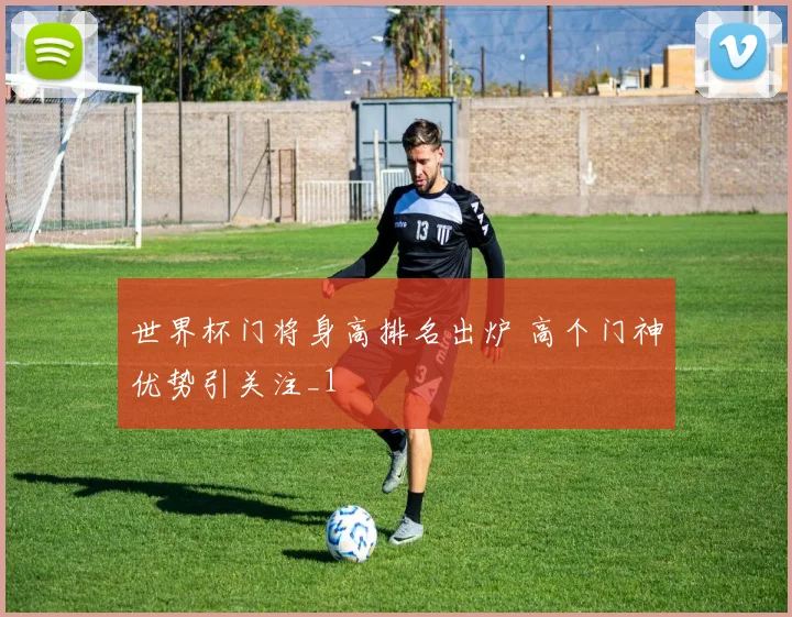 世界杯门将身高排名出炉 高个门神优势引关注_1
