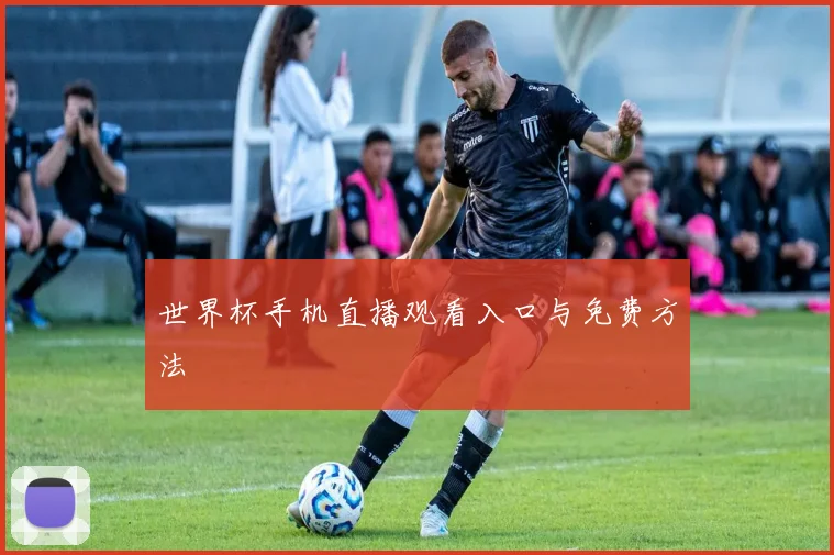 世界杯手机直播观看入口与免费方法