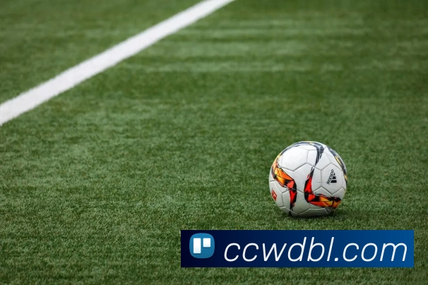 bsports体育登录平台生态图