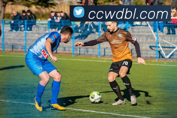 bsports体育登录APP 封面图